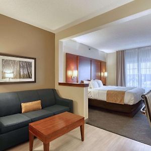 Standard King Suite